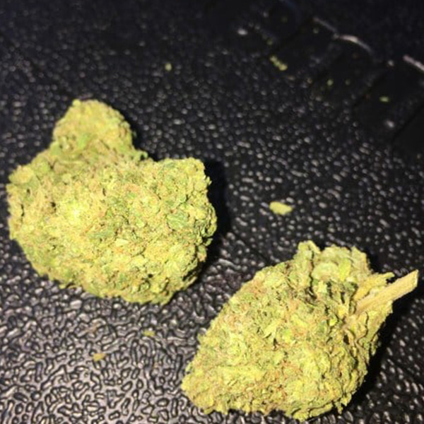 Buy Agent-Orange Marijuana Online.