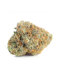 Buy Blackberry Kush Online