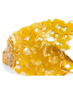 Buy Gelato Shatter Online