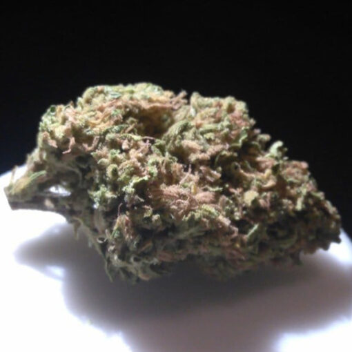 Buy Super Sour Skunk