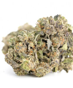 Buy Jesus OG Weed Online